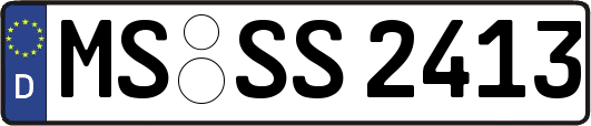 MS-SS2413