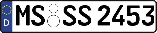 MS-SS2453