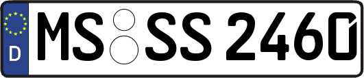 MS-SS2460