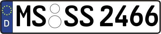 MS-SS2466