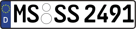 MS-SS2491