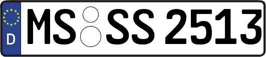 MS-SS2513