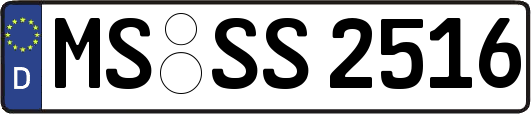 MS-SS2516
