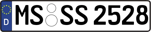 MS-SS2528