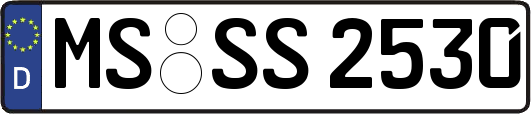 MS-SS2530
