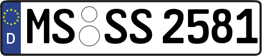 MS-SS2581