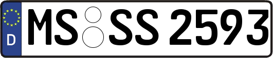 MS-SS2593