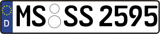 MS-SS2595