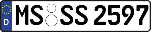 MS-SS2597