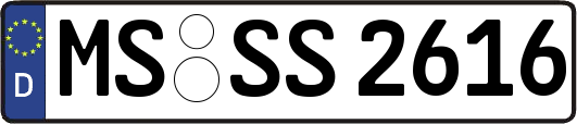 MS-SS2616