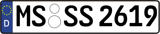MS-SS2619