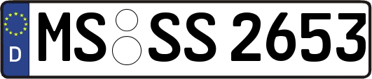 MS-SS2653