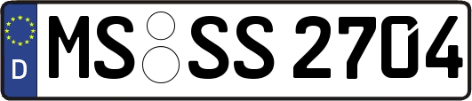 MS-SS2704