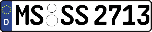 MS-SS2713