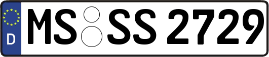 MS-SS2729