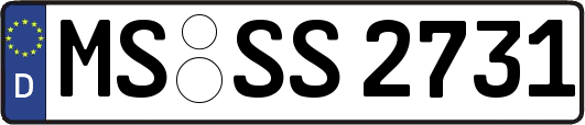 MS-SS2731