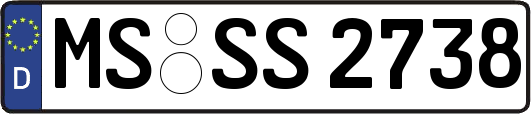 MS-SS2738