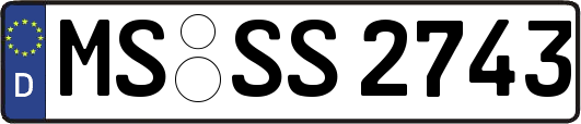 MS-SS2743