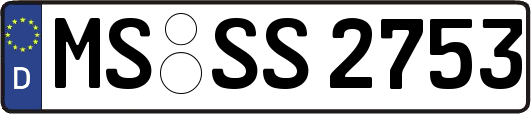 MS-SS2753