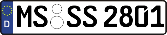 MS-SS2801