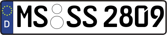 MS-SS2809
