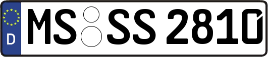 MS-SS2810