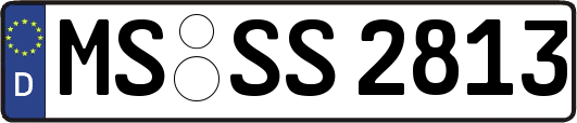 MS-SS2813
