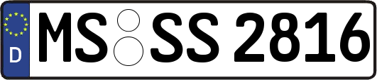 MS-SS2816