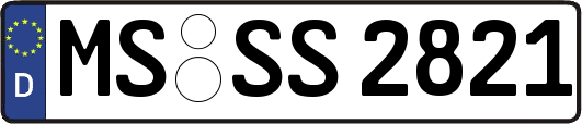 MS-SS2821