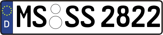 MS-SS2822