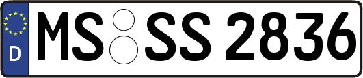 MS-SS2836