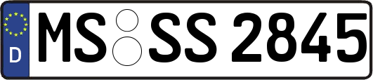MS-SS2845