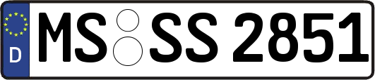 MS-SS2851