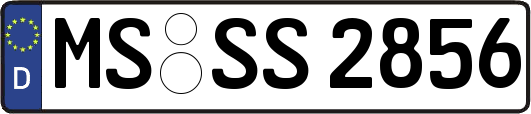 MS-SS2856