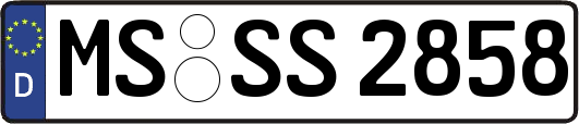 MS-SS2858