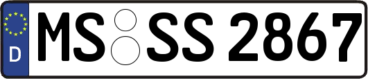 MS-SS2867