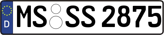 MS-SS2875