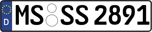 MS-SS2891