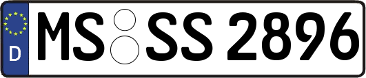 MS-SS2896