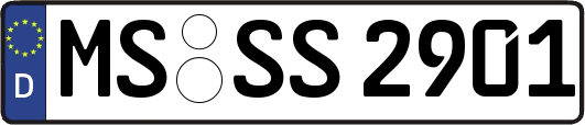 MS-SS2901