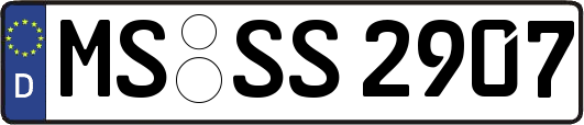 MS-SS2907