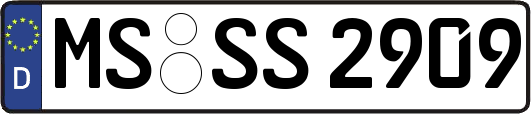 MS-SS2909