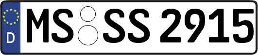 MS-SS2915