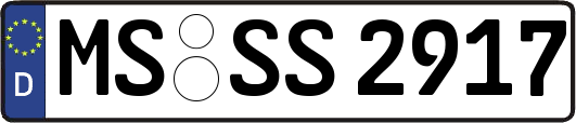 MS-SS2917