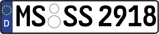 MS-SS2918