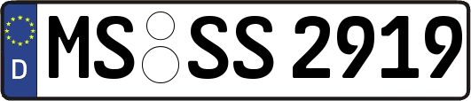 MS-SS2919