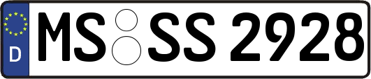 MS-SS2928