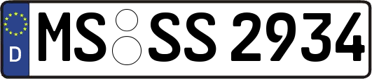 MS-SS2934