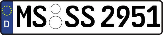 MS-SS2951