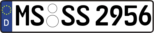 MS-SS2956